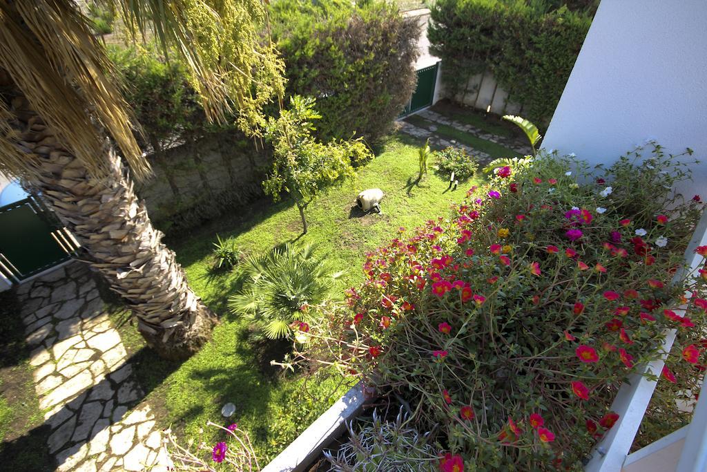 B&B Villa Genny A Pochi Passi Dal Mare San Cataldo  Rum bild